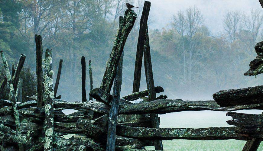 All Aboard the Rocky Mountaineer